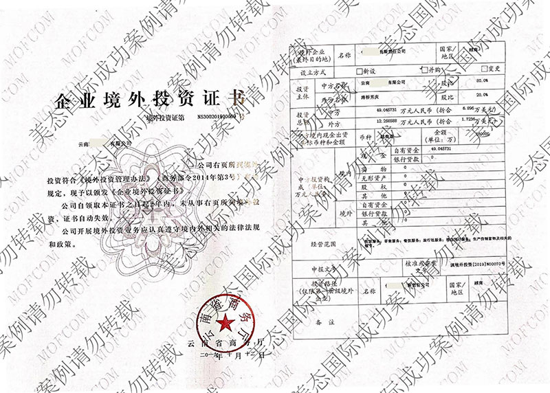 云南境外投资备案成功案例